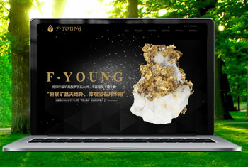 �е¸������ﱦʯ